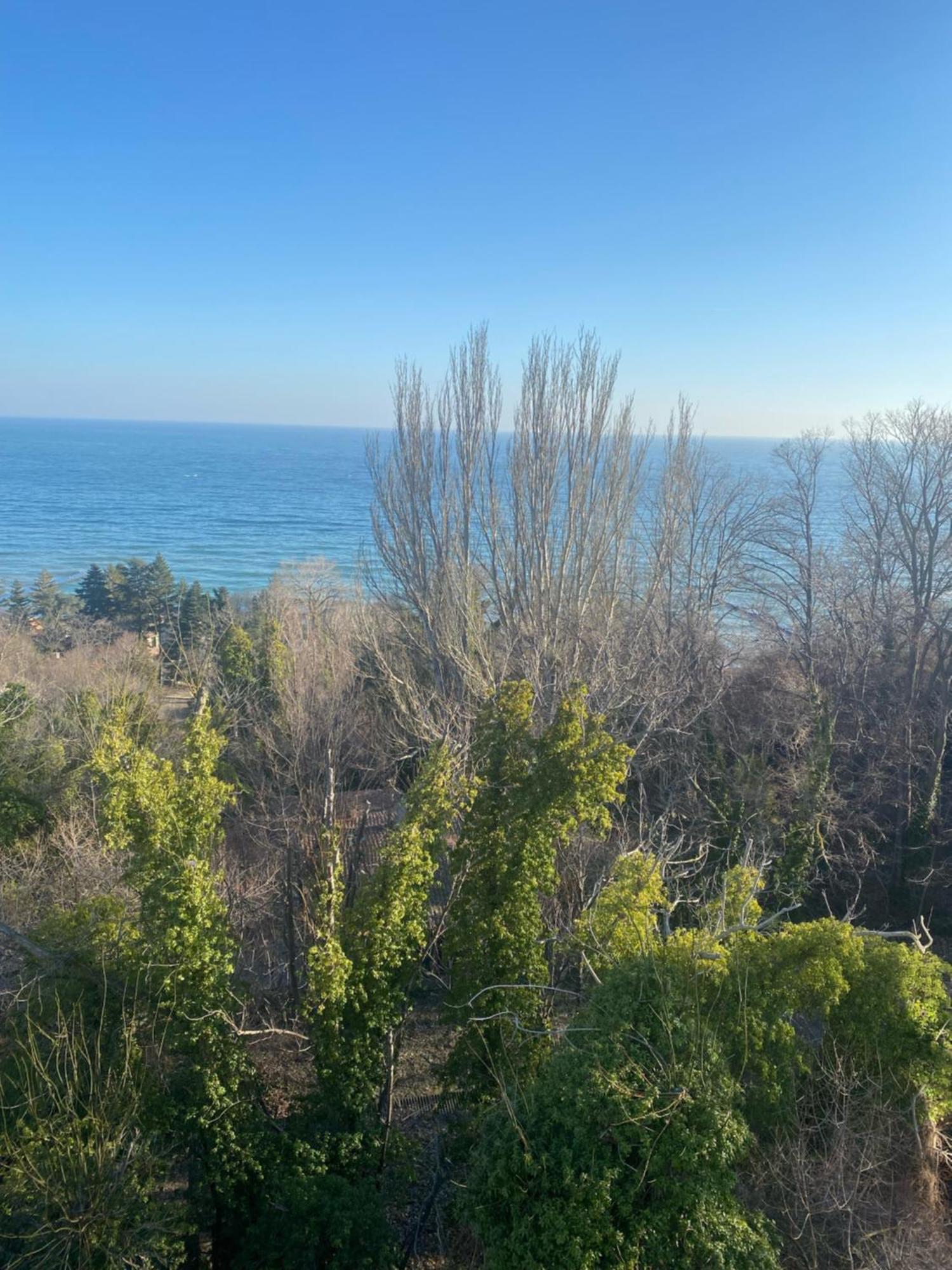 Queen'S Palace Balchik Apartment Dış mekan fotoğraf